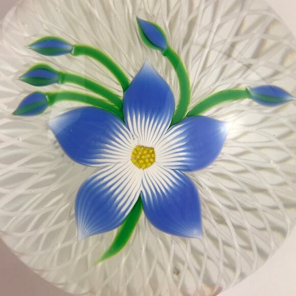 Perthshire 1984D Floral Spray Blue Lampwork Flower Spiral Latticinio Paperweight - Picture 5 of 13
